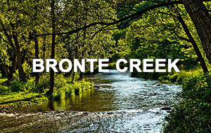 bronte_creek_real_estate