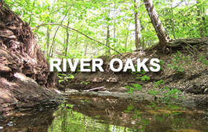 river_oaks_real_estate